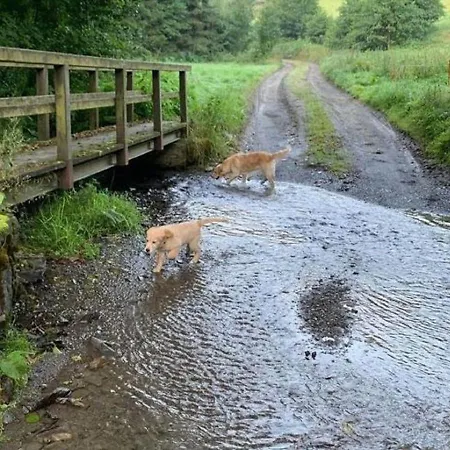 Apartment In Nahe Skipisten