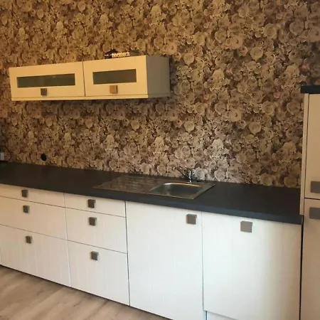 In Nahe Skipisten Lejlighed