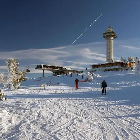 In Nahe Skipisten Apartment *