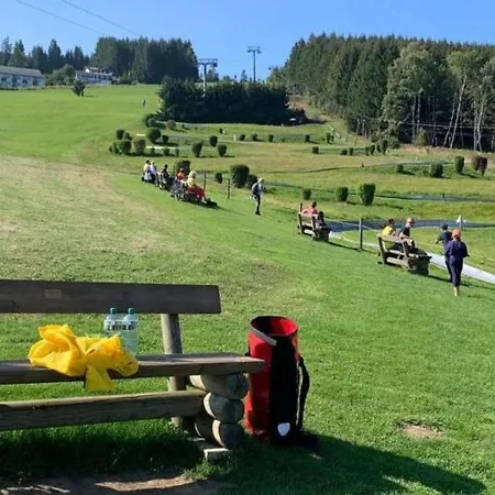 In Nahe Skipisten Lejlighed Willingen (Upland)