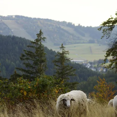 In Nahe Skipisten Willingen (Upland)