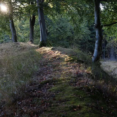 In Nahe Skipisten * Willingen (Upland)