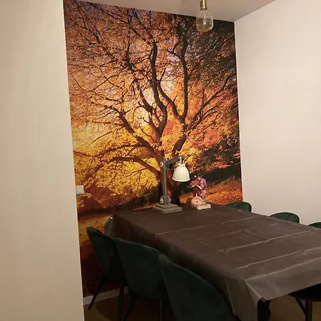 Lägenhet In Nahe Skipisten *