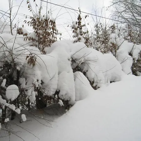 In Nahe Skipisten Willingen (Upland)