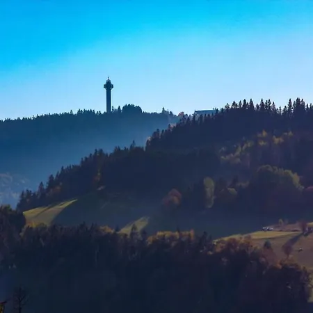 In Nahe Skipisten *
