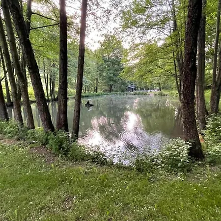 In Nahe Skipisten Apartment Willingen (Upland)