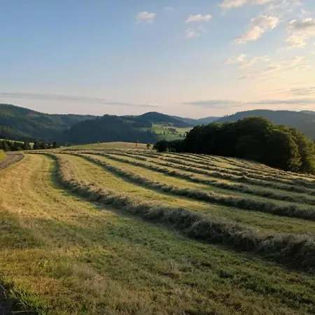 Apartment In Nahe Skipisten
