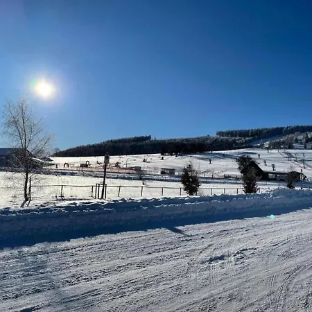 Spacious Near With Garden * Willingen