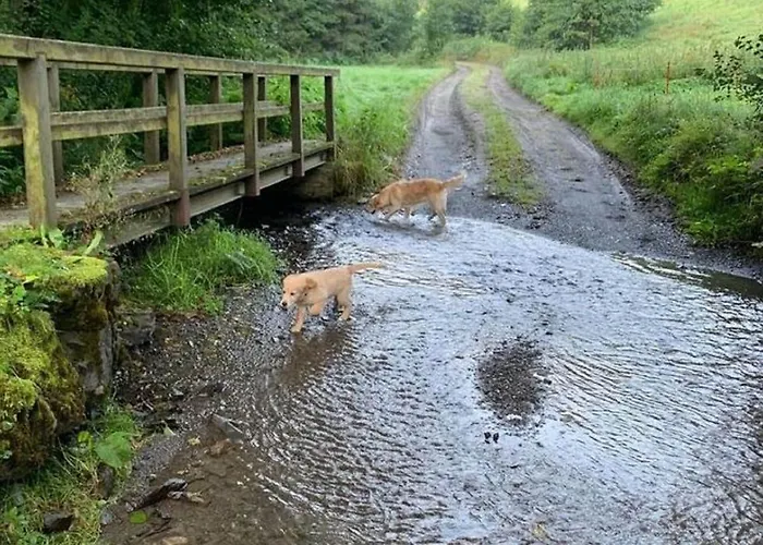 Апартаменты In Nahe Skipisten