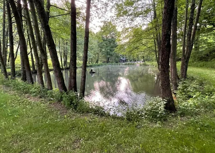 In Nahe Skipisten Апартаменты Виллинген