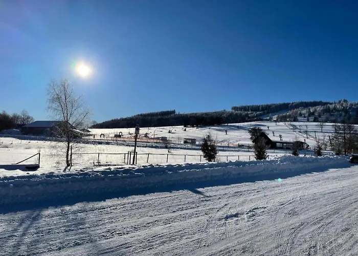 In Nahe Skipisten * Виллинген